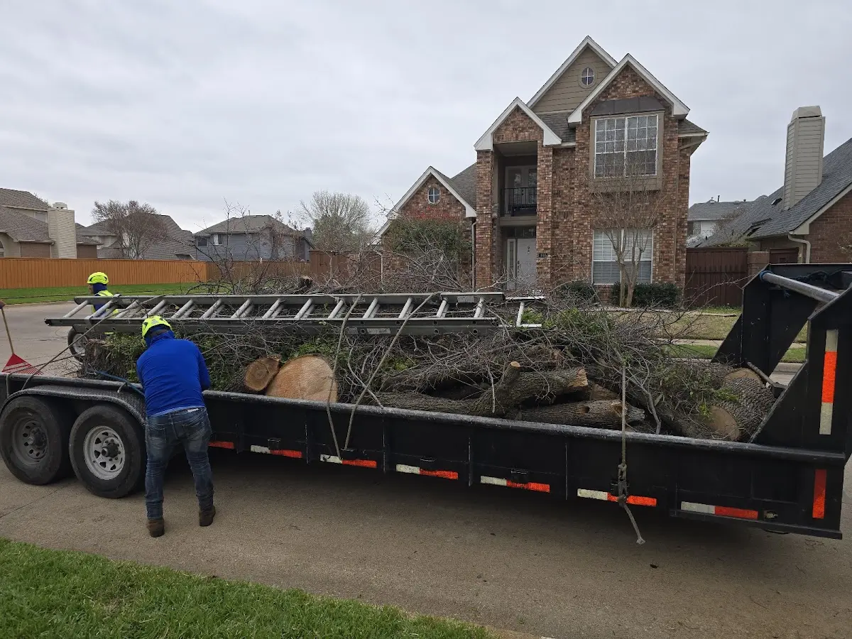 Expert Tree Fertilization with proper safety equipment in Linn